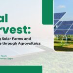 Dual Harvest: Combining Solar Farms and Agriculture through Agrovoltaics