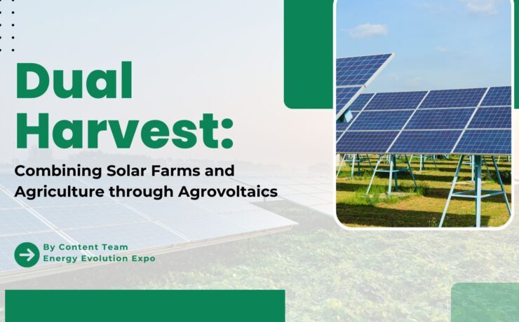 Dual Harvest Combining Solar Farms and Agriculture through Agrovoltaics