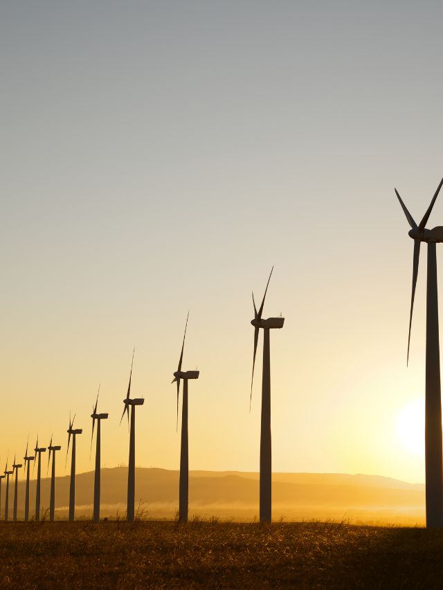 Spanish Wind Charter: Pioneering Wind Energy Development in Spain