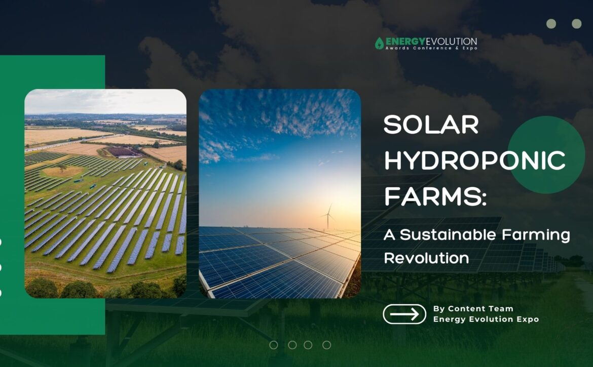 Solar Hydroponic Farms: A Sustainable Farming Revolution