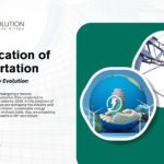 Electrification of Transportation: Driving the Energy Evolution